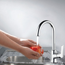 Moderate price kitchen faucet flexible